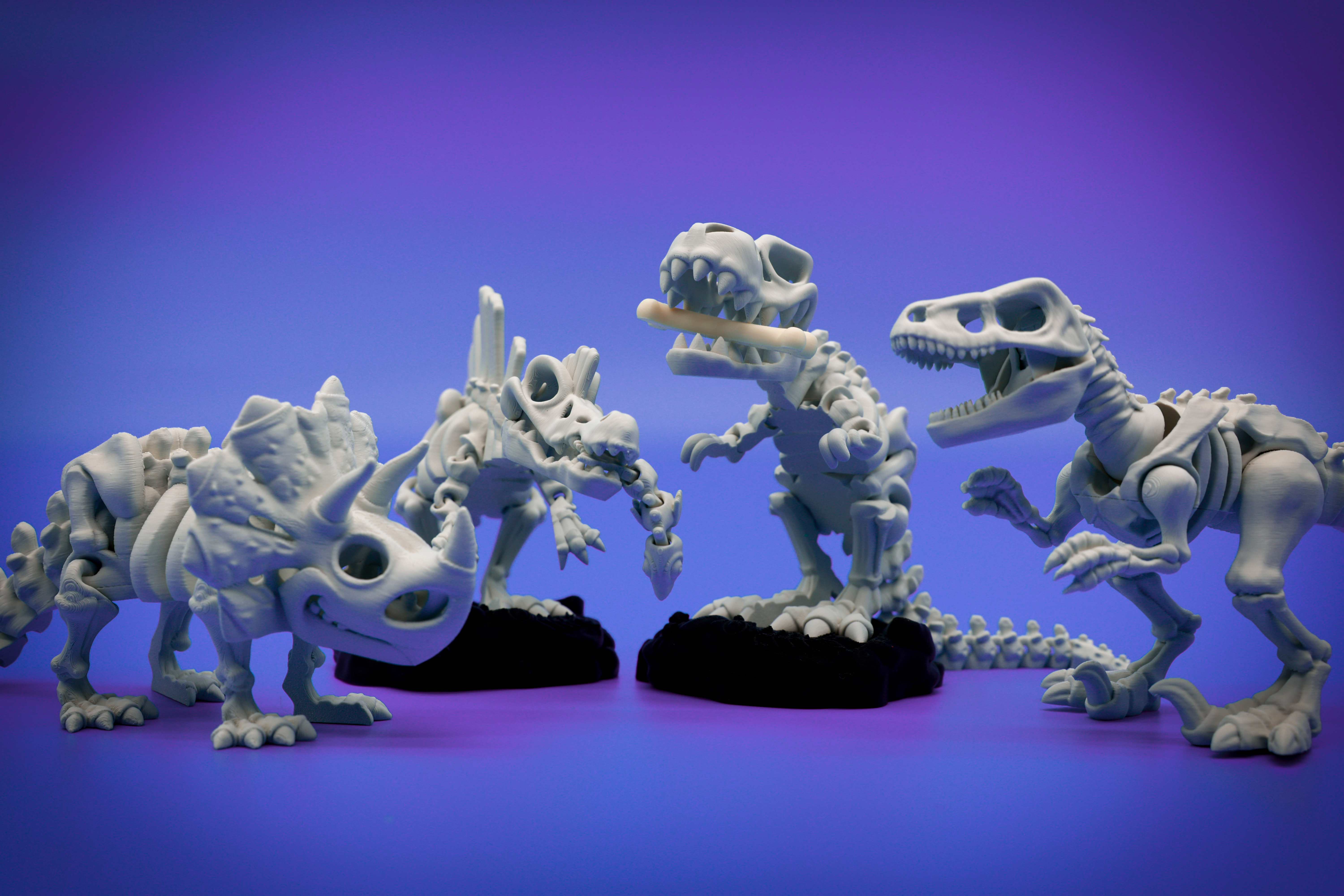 Skeleton Dino All